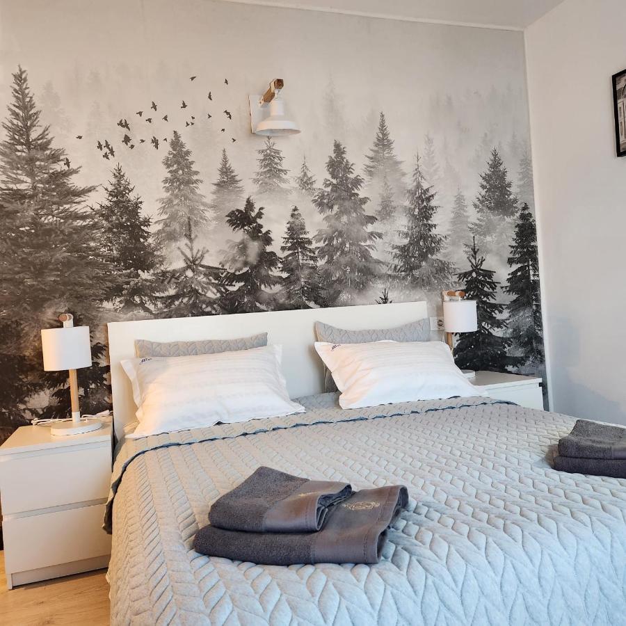 My Room Accommodation Куртя-де-Арджеш Экстерьер фото